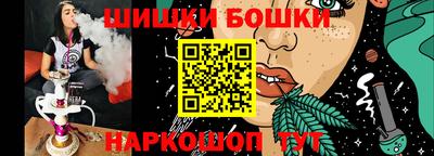 гашик Будённовск