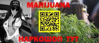 гашик Будённовск