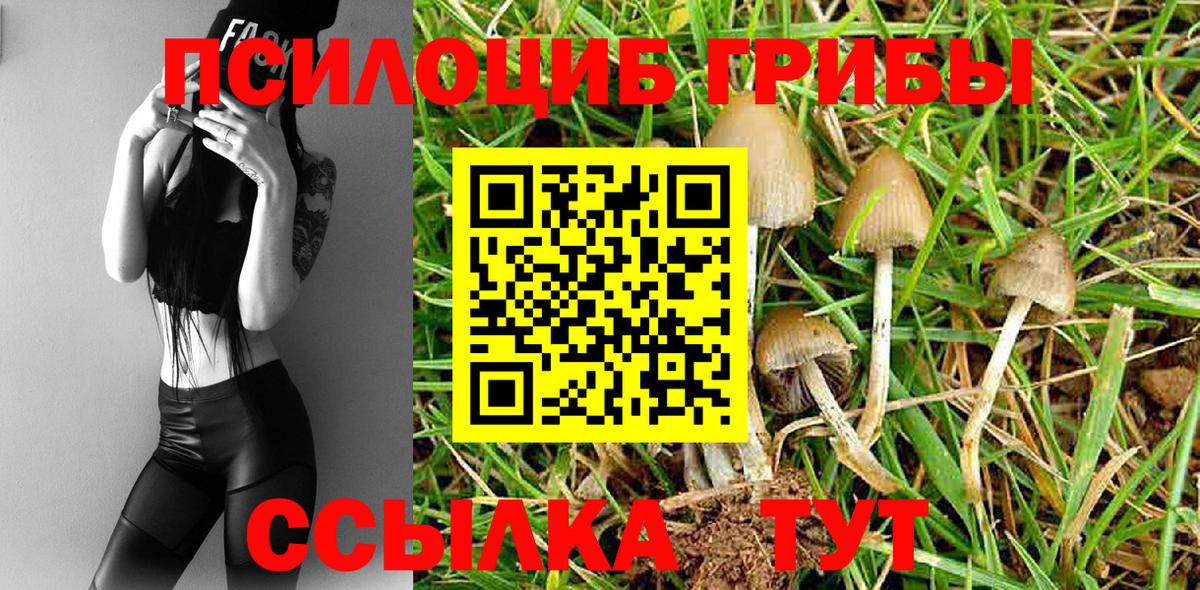 Галлюциногенные грибы Psilocybine cubensis  Вход с VPN  Ртищево 