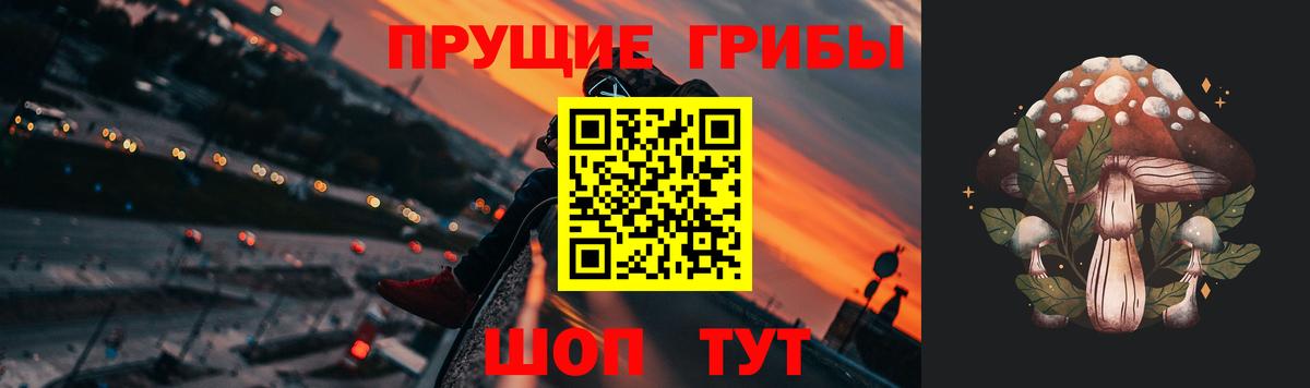 Галлюциногенные грибы GOLDEN TEACHER Ртищево